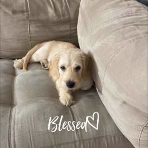 Meet your Posher, Misun